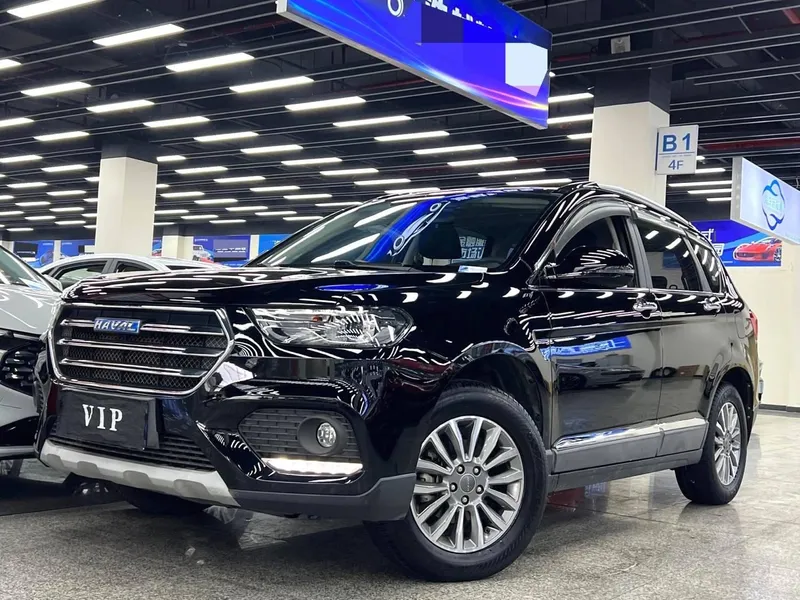 2018-2019 Haval H6
