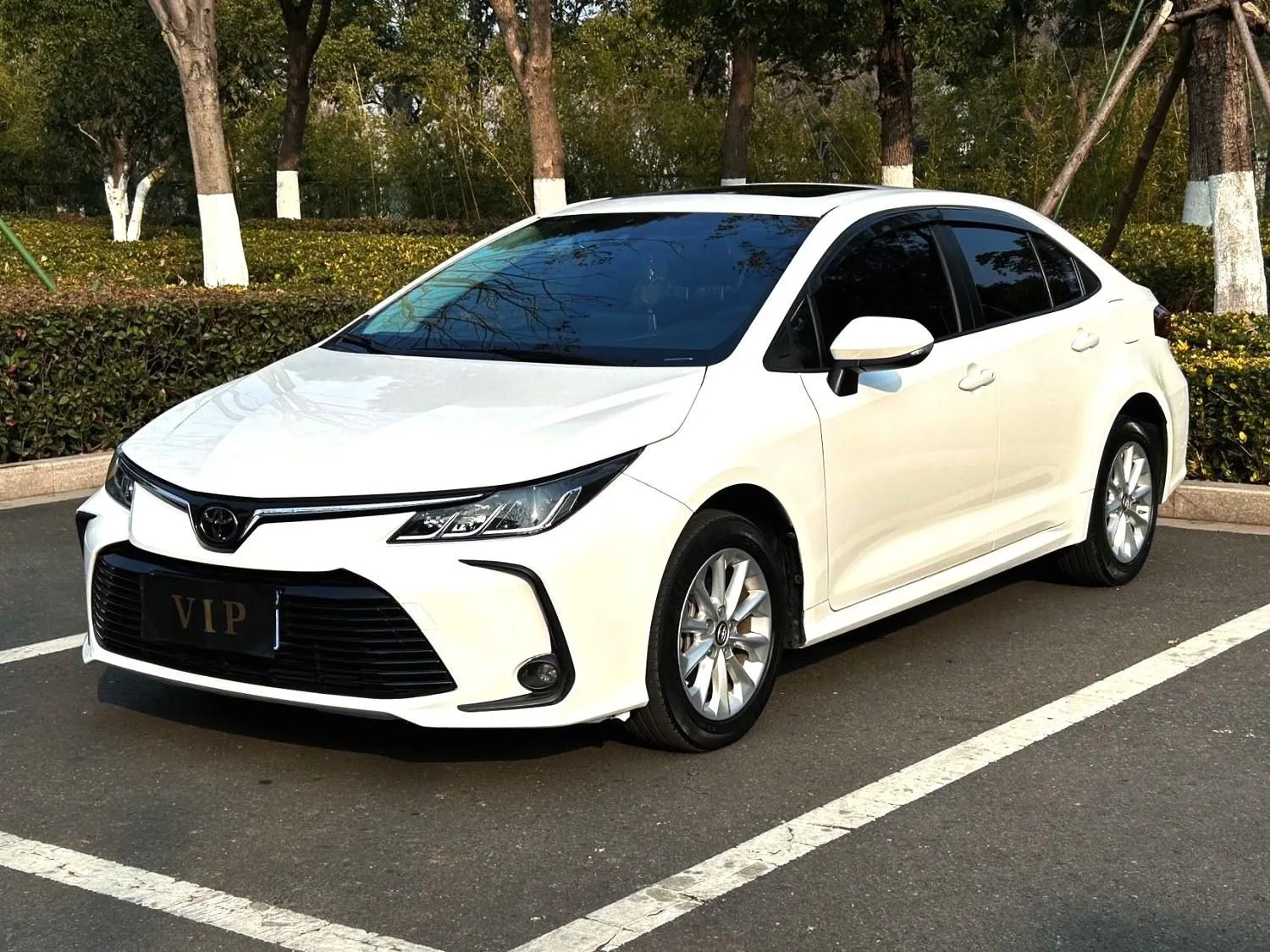 2019-2025 Toyota Corolla