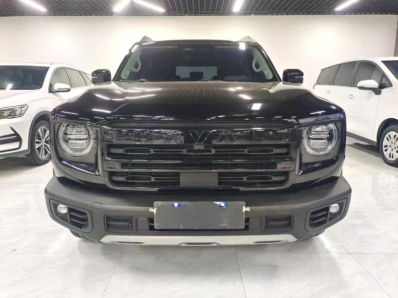 2023-2024 Haval Big Dog