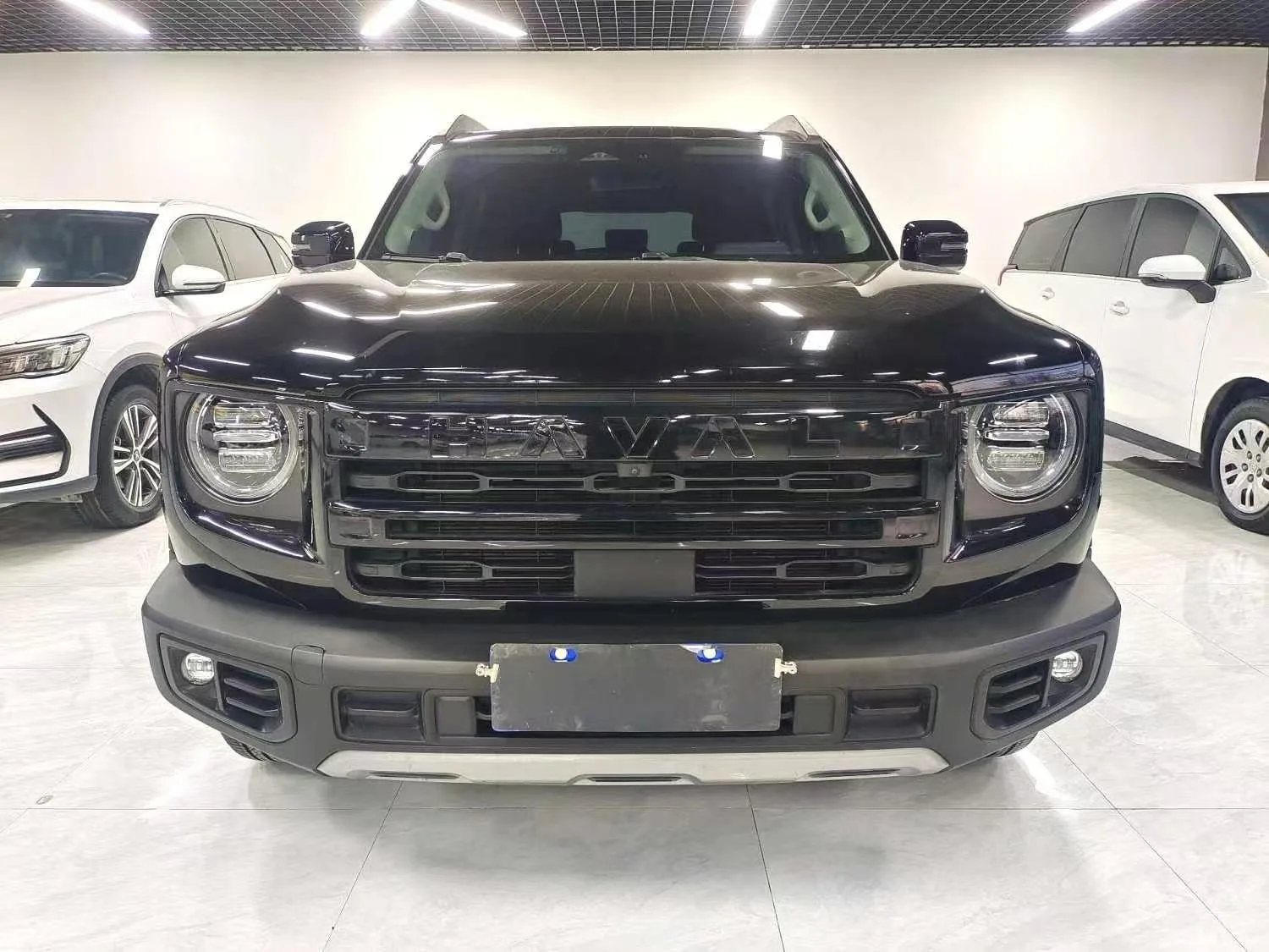 2023-2024 Haval Big Dog